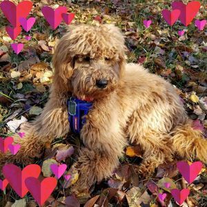 Meet your Posher, Cecilia